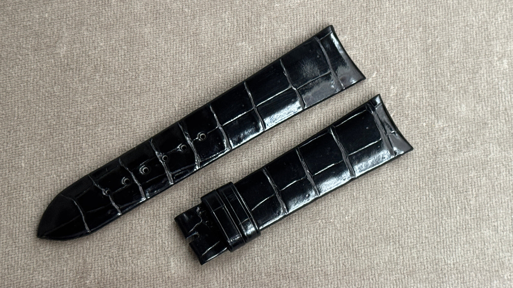 C社｜クロコダイル｜シャイニーブラック